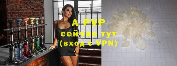 2c-b Гусев