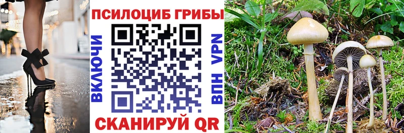 Купить где  Краснозаводск  Псилоцибиновые грибы мухоморы 